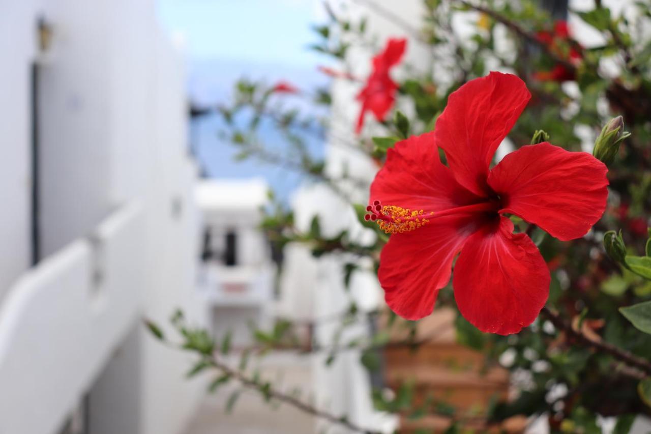 Casa Lina Sardina Apartment Galdar Exterior photo